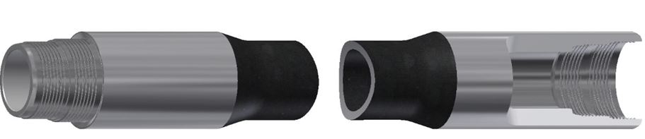 الجرو المشترك في الداخل